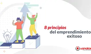 Dos personas celebran el éxito en su camino de emprendedor exitoso, con una bombilla de idea y una flecha ascendente.