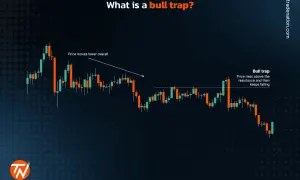 Gráfico de velas que ilustra un bull trap: el precio sube brevemente sobre la resistencia y luego cae, engañando a los alcistas.