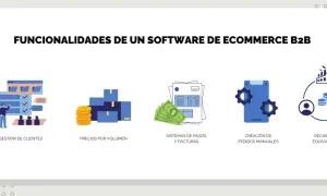 Funcionalidades de software ecommerce B2B: gestión de clientes, precios por volumen, sistemas de pagos, creación de pedidos y recargo de equivalencia.