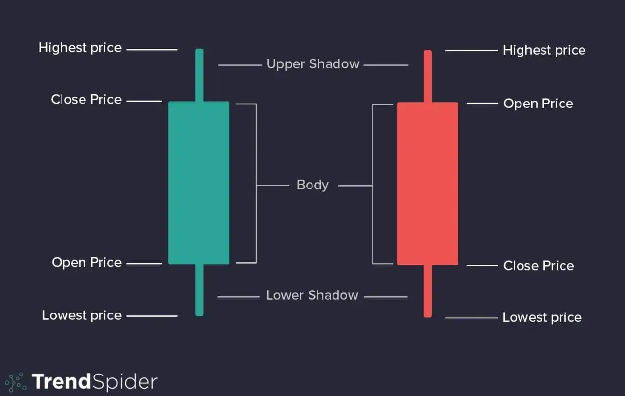 Guía visual para aprender como leer velas japonesas: cuerpo, sombras, precios de apertura, cierre, máximo y mínimo.